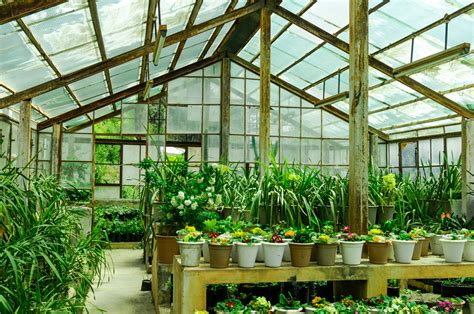 Can you put anything in a greenhouse?