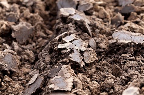 Can you put clay soil in a skip?