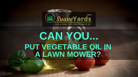 Can you put cooking oil in the garden?