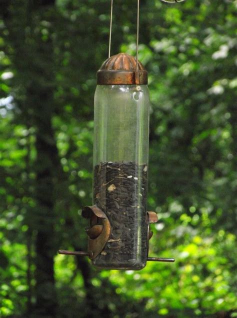 Can you put different bird feeders next to each other?