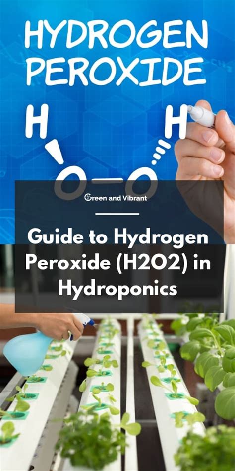 Can you put hydrogen peroxide in a hydroponic reservoir?