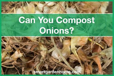 Can you put onion in compost?