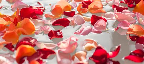 Can you put rose petals in drinking water?