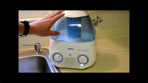 Can you put vinegar in a humidifier to prevent mold?