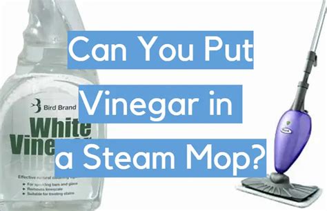 Can you put vinegar in a steam mop?