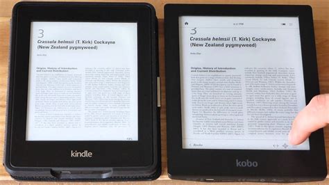 Can you read Word documents on Kindle?
