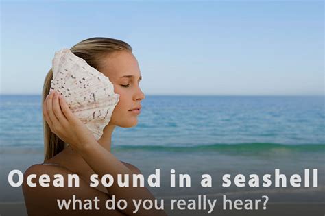 Can you really hear the sea in a shell?