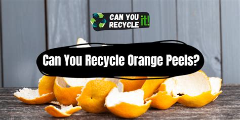 Can you recycle citrus peel?