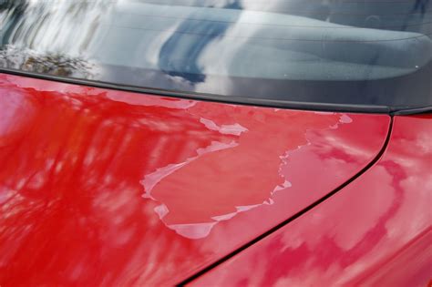 Can you remove clear coat from paint?