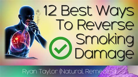 Can you reverse nicotine damage?