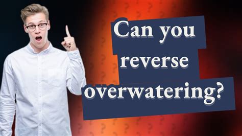 Can you reverse overwatering?