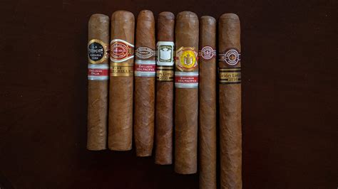 Can you revive cigars?