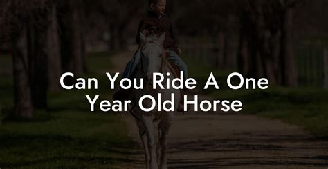 Can you ride a 19 year old horse?