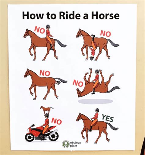 Can you ride a 32 year old horse?