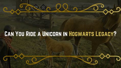 Can you ride a Unicorn in Hogwarts Legacy?