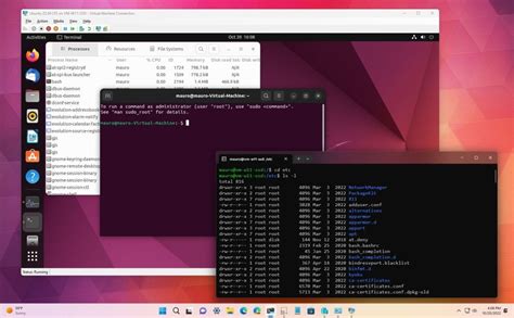 Can you run Linux alongside Windows 11?