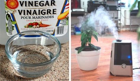 Can you run vinegar through a cool mist humidifier?