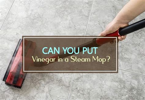Can you run vinegar through a steam mop?