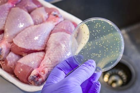 Can you see Salmonella on food?