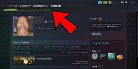 Can you see who looks at your Steam profile?