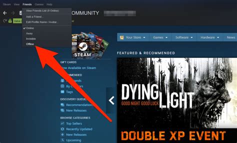 Can you set Steam to offline?
