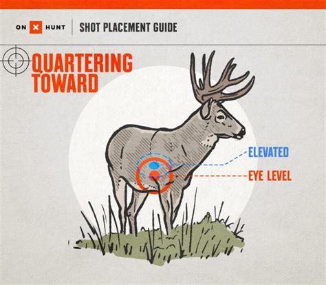 Can you shoot 2 deer a day in Indiana?