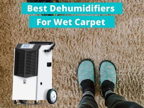 Can you sleep in a room with wet carpet?