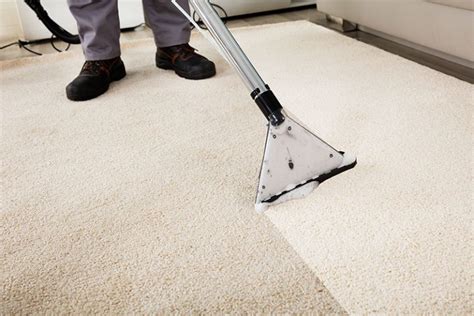 Can you sleep in room after shampooing carpet?