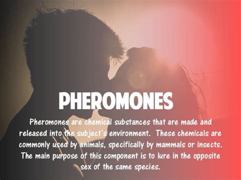 Can you smell pheromones when kissing?
