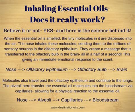 Can you sniff too much essential oils?