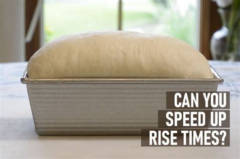 Can you speed up dough rising?
