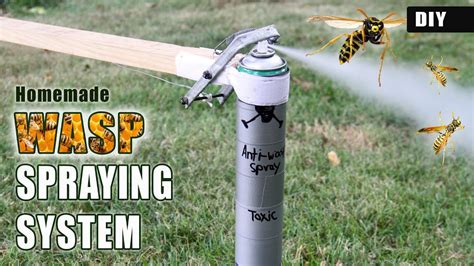 Can you spray a wasp with soapy water?