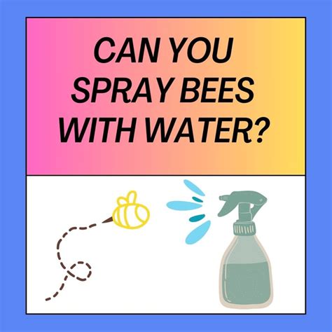 Can you spray water on bees?