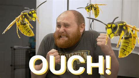 Can you squish a wasp?