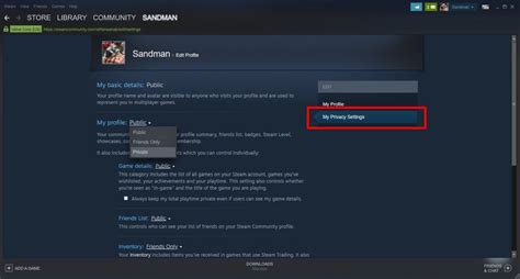 Can you stay hidden on Steam?