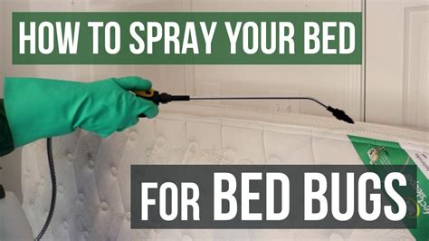 Can you stay in a room after spraying bug spray?
