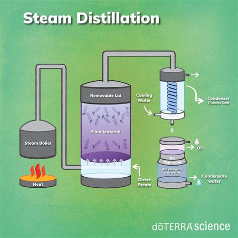 Can you steam using oil?