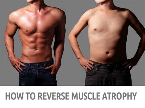 Can you stop muscle wasting?