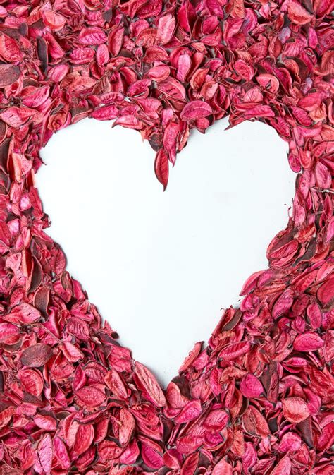 Can you sun dry rose petals?