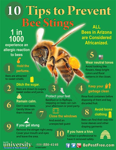 Can you survive 100 bee stings?