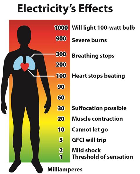 Can you survive 20 volts?