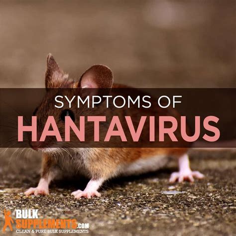 Can you survive hantavirus?