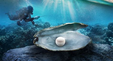 Can you swim with freshwater pearls?
