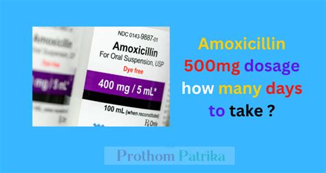 Can you take amoxicillin 500mg 3 times a day?