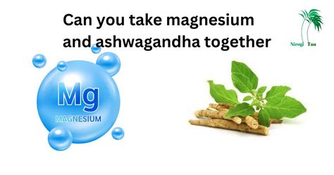 Can you take magnesium with MS?