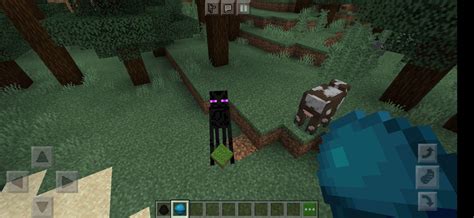 Can you tame a enderman in Minecraft?