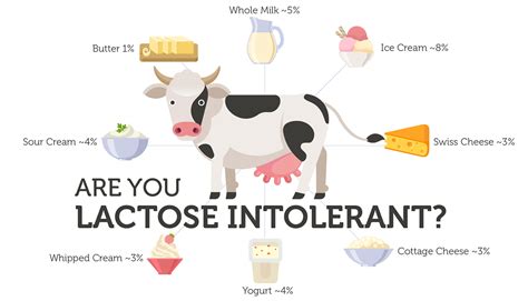 Can you taste lactose?
