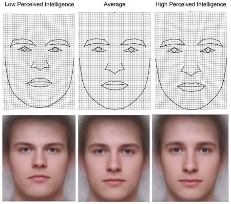 Can you tell IQ by face?