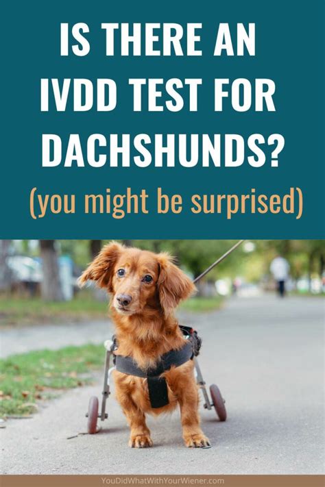 Can you test for IVDD?