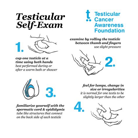 Can you test for testicular cancer at home?